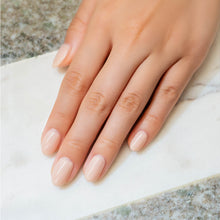 Load image into Gallery viewer, Artistic Nail Design Brush on Builder Gel 15ml - Peachy Nude