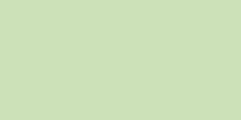 Load image into Gallery viewer, Artistic Lacquer Bloom Rush- Kiwi Kick 15ml
