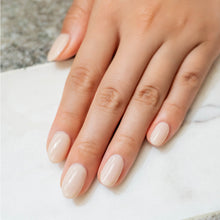 Load image into Gallery viewer, Artistic Nail Design Brush on Builder Gel 15ml - Cream Nude
