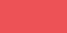 Load image into Gallery viewer, ARTISTIC - BRING THE HEAT - CORAL PINK NEON CRÈME - DIP 23g

