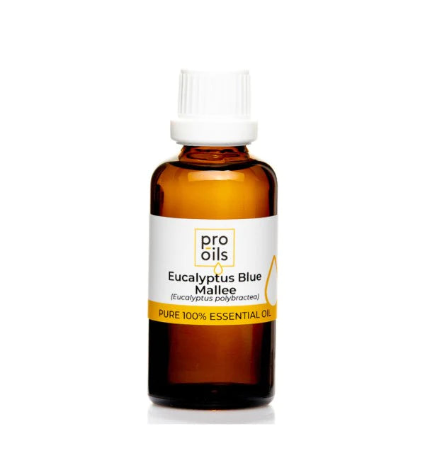 EUCALYPTUS BLUE MALLE OIL 50ml