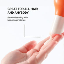 Load image into Gallery viewer, Loma Daily Shampoo and Conditioner
