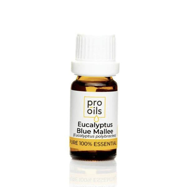 Pro Oils Eucalyptus Blue Mallee Pure 100% Essential Oil