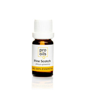 Pro Oils Pine Scotch Pure 100% Essential Oil