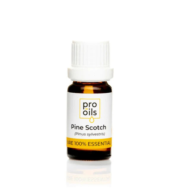 Pro Oils Pine Scotch Pure 100% Essential Oil