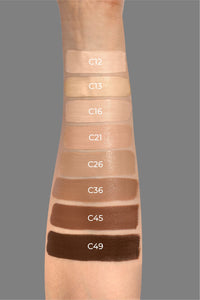 Vani-T Instant Blur HD Concealer Shade- C49