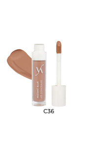 Vani-T Instant Blur HD Concealer Shade- C36