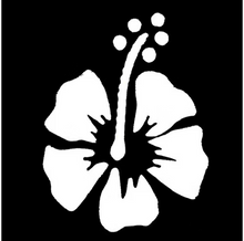 Load image into Gallery viewer, Q-Voe Hibiscus Stencil - 1 pack
