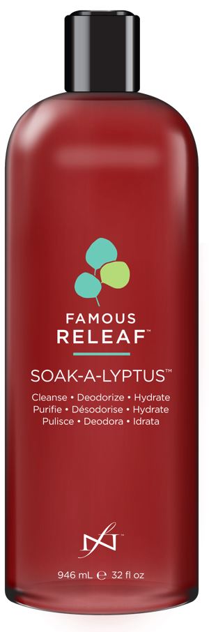 Soak-A-Lyptus 32oz/946ml - Professional Salon Brands