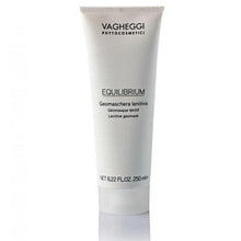 Load image into Gallery viewer, Vagheggi Equilibrium Lenitive Mask 250ml - Professional Salon Brands
